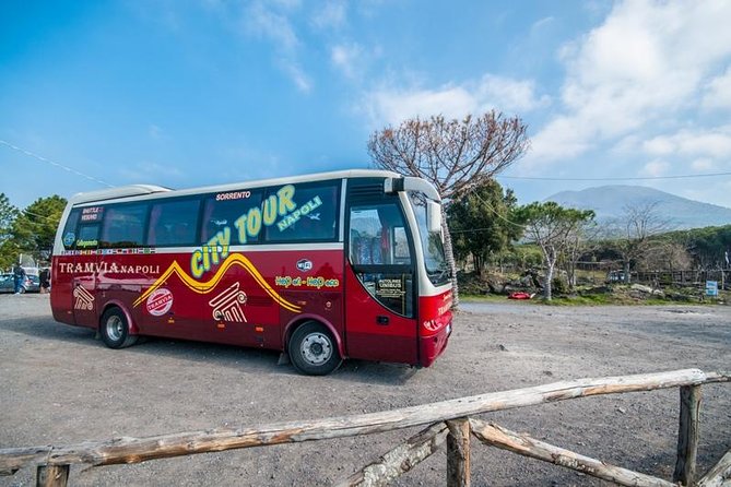 Tramvia Napoli: Transfer Full Day Vesuvius Audio-Guide - Tour Options and Pricing