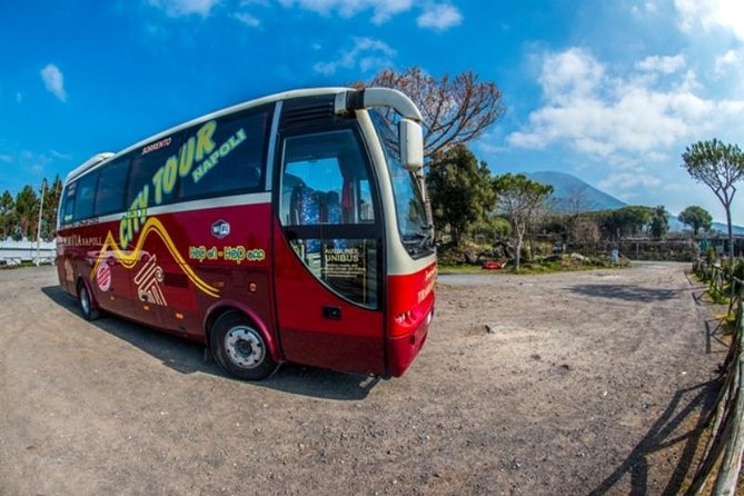 Tramvia Napoli: Transfer Pompeii Ruins Vesuvius Full-Day Tour - Booking Information