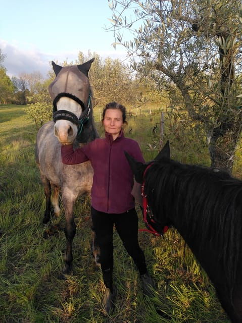 Trancoso: Farm eco-Tour with Tasting - FAQ