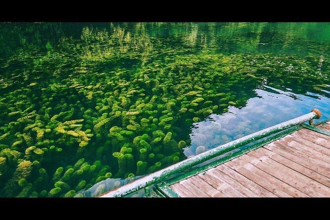 Trang An Bai Dinh Mua Cave Luxury 1 Day Group Tour From Hanoi - Cancellation Policy