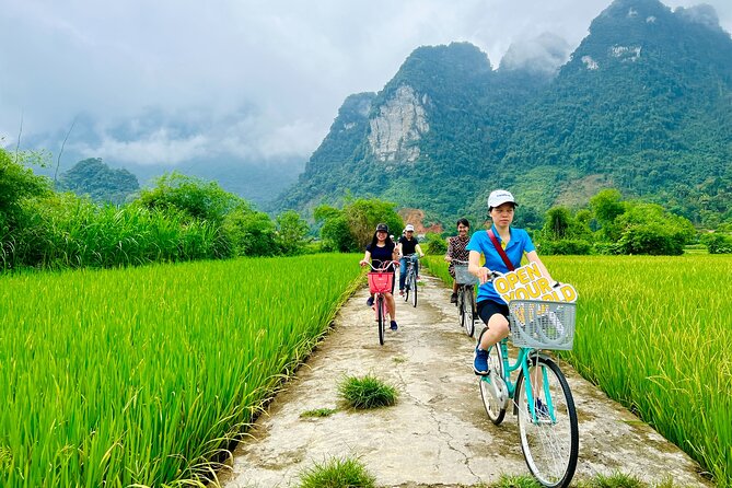 Trang an Grottoes - Hoa Lu - Mua Cave [Best Price] 1 Day Trip - Trip Highlights