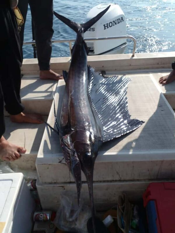 Trang: Andaman Sea Private Fishing Trip by Speedboat - Final Thoughts