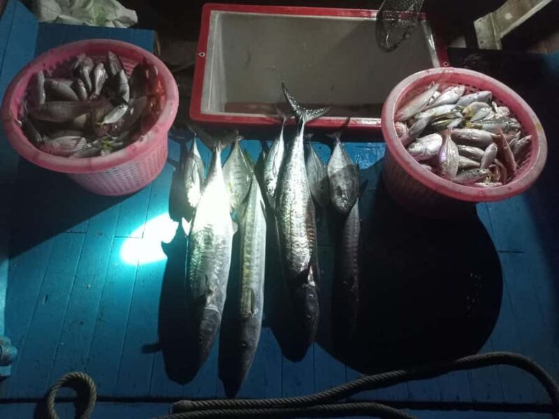 Trang: Andaman Sea Private Fishing Trip by Speedboat - The Sum Up  