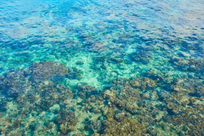 Trang: Emerald Cave, Kradan, Chueak Snorkeling Boat Trip - Beach Relaxation at Koh Kradan
