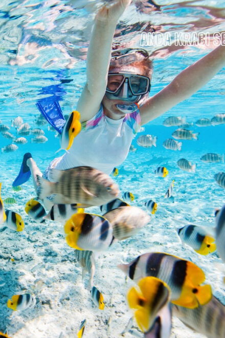 Trang: Full-Day Outer & Inner Ko Rok Private Speed Boat Tour - Snorkeling Experience
