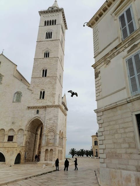 TRANI and CASTEL DEL MONTE: Guided Tours and Transfers From Matera - Whats Included in the Tour