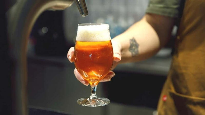 TRANI: Exclusive Panino Tasting - Introduction to the Trani Panino Experience