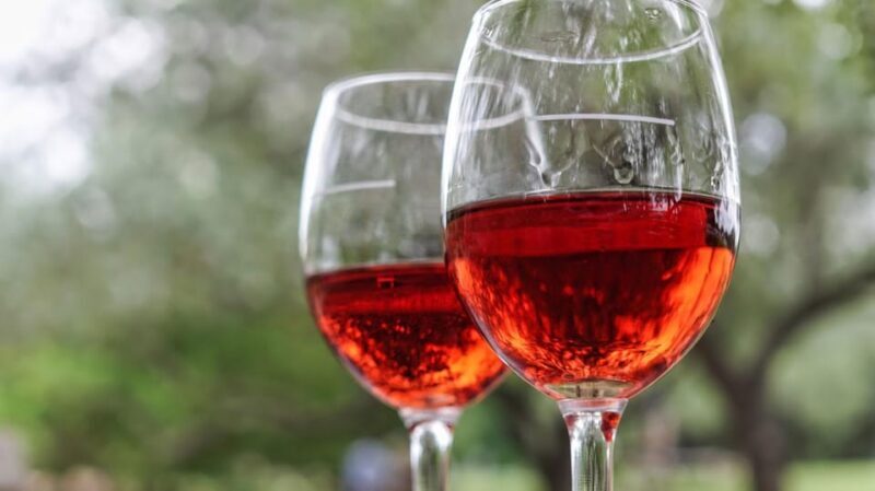 Trani Wine Tours: Flavors of Puglia - The Sum Up: Is It Worth It?