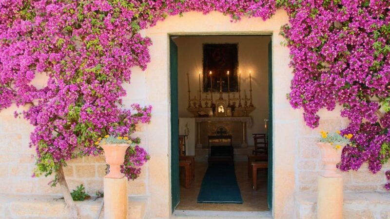 Trani Wine Tours: Flavors of Puglia - FAQ