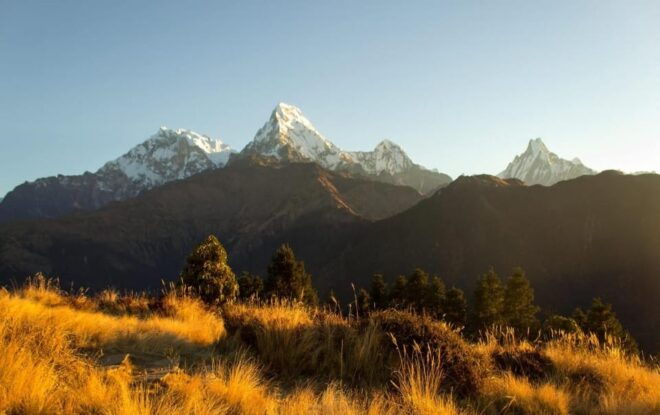 Tranquil Experience : 2 Days Retreat to Jhinu Hot Springs - Break Down