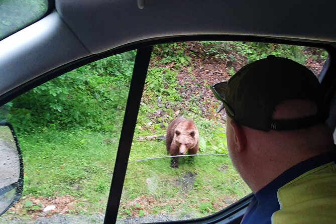 Transfagarasan Road Private Day Trip From Bucharest / the Best Road in the World - Customer Reviews and Feedback