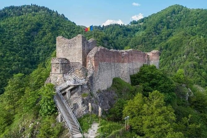 Transfăgărășan Top Gear Road, Wild Brown Bears, Small Group Max 8 - Reviews