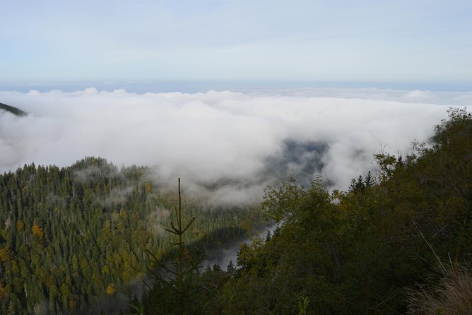 Transfagarasan, Vidraru and Poenari Fortress Tour From Sibiu - Frequently Asked Questions