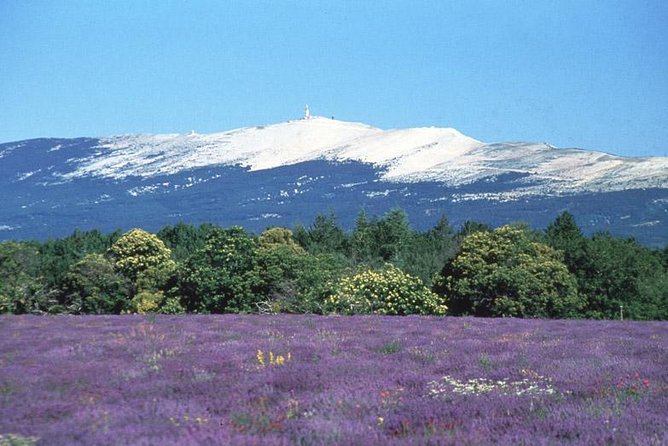 Transfer Avignon to Vaison La Romaine and Surroundings - Transfer Options From Avignon to Vaison La Romaine
