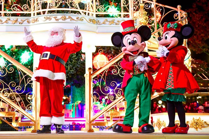 Transfer City and Airports - Customer Reviews and Ratings