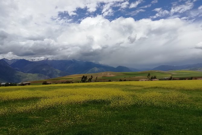 Transfer Cusco Airport - Hotel or Vice Versa. - Service Details