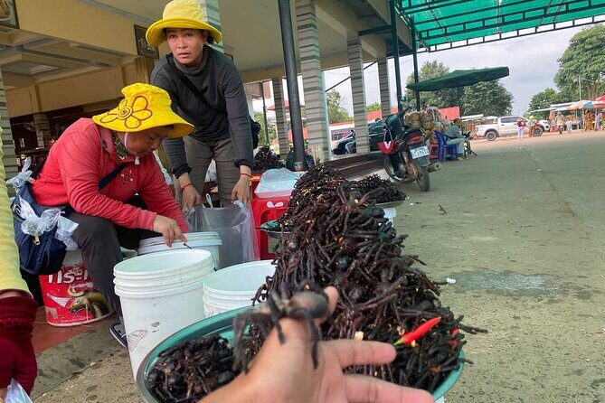 Transfer Day Trip Oudongk Sambor Prei Kuk Phnom Penh - Siem Reap - Who Will Love This Experience?