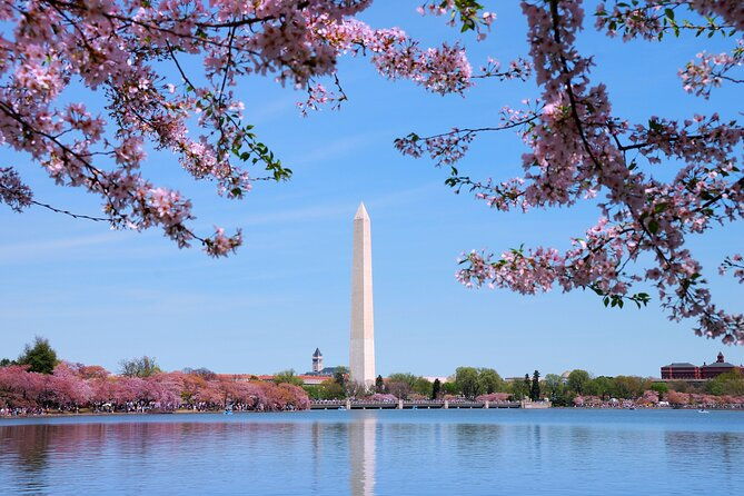 Transfer Dulles Airport (IAD) to Washington City Center - Real-World Insights from Traveler Feedback