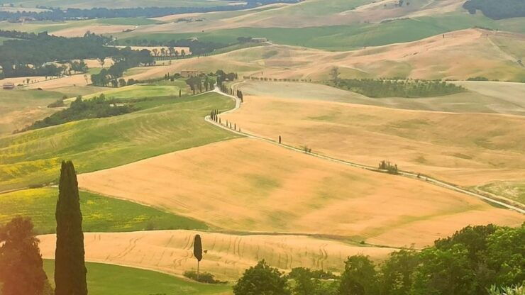 Transfer Florence-Rome With Stops in S Gimignano & Montepulc - Activity Highlights