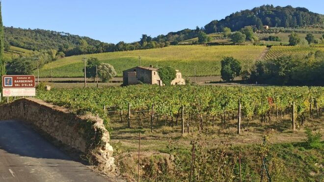 Transfer Florence-Siena With Visit to Chianti and Tasting - Full Description