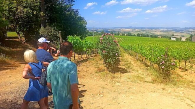 Transfer Florence-Siena With Visit to Chianti and Tasting - Reservation