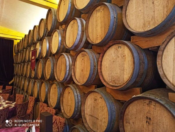 Transfer Florence-Siena With Visit to Chianti and Tasting - The Sum Up