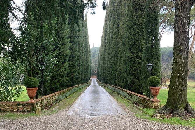 Transfer Florence to Pisa - Reservation and Cancellation