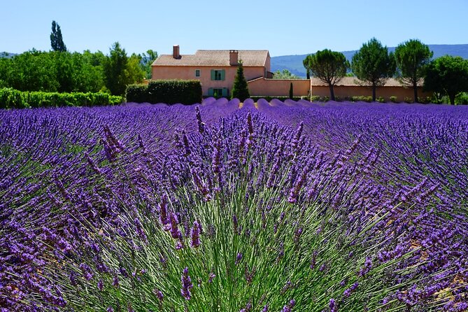 Transfer From Airport MARSEILLE to ARLES -1 up to 7 Pax - Directions