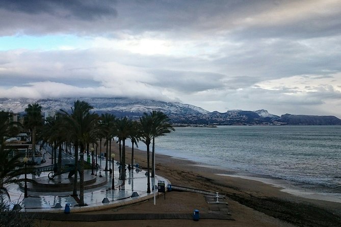 Transfer From Albir to Alicante Airport in Private Minivan Max. 6 Passengers - Professional and Experienced Drivers