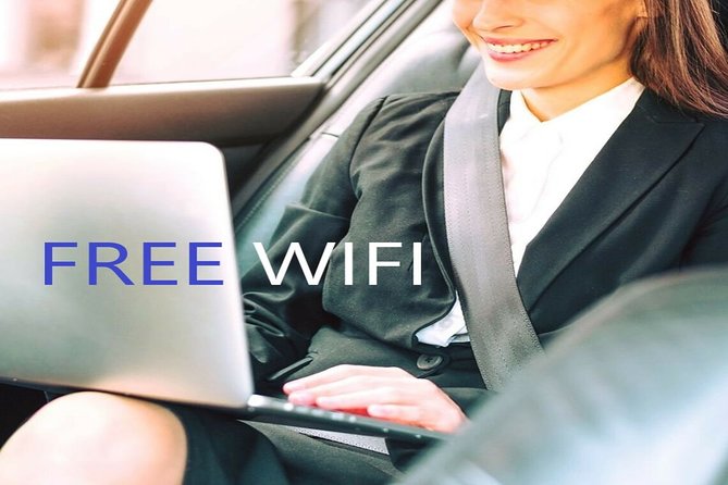 Transfer From Albir to Alicante Airport in Private Minivan Max. 6 Passengers - Flexible Scheduling to Fit Your Travel Plans