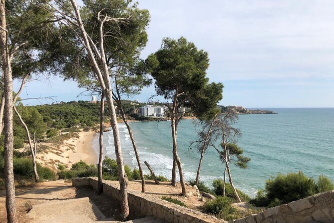 Transfer From BCN Airport to Salou/ Port Aventura/ Cambrils - The Sum Up