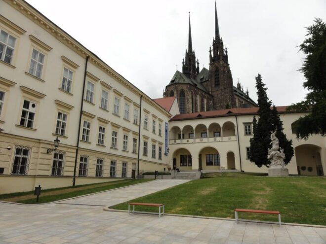 Transfer From Brno to Vienna Center or Airport - Communication With Driver