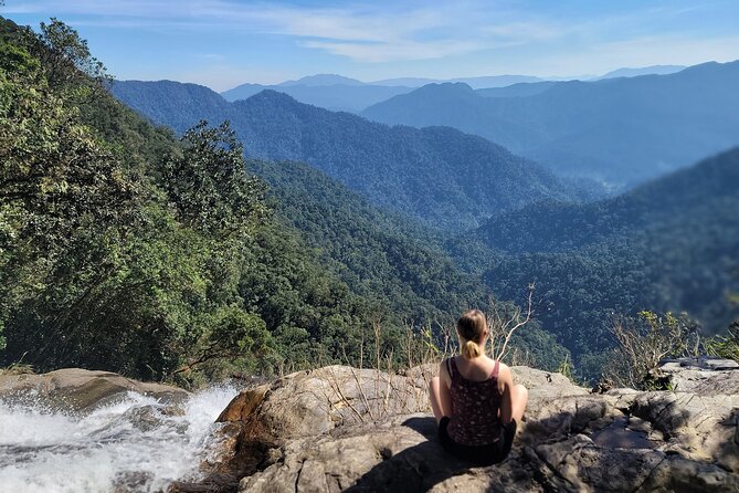 Transfer From Da Nang or Hoi an to Hue via Bach Ma National Park - Transportation Options for the Transfer