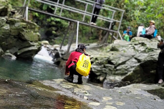 Transfer From Da Nang or Hoi an to Hue via Bach Ma National Park - Common Questions