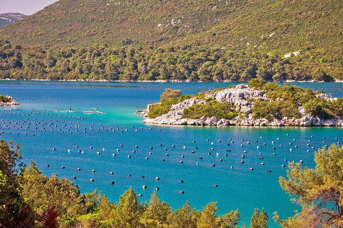 Transfer From Dubrovnik to Split With 2 Hours Stop in Ston Town - Transfer Details