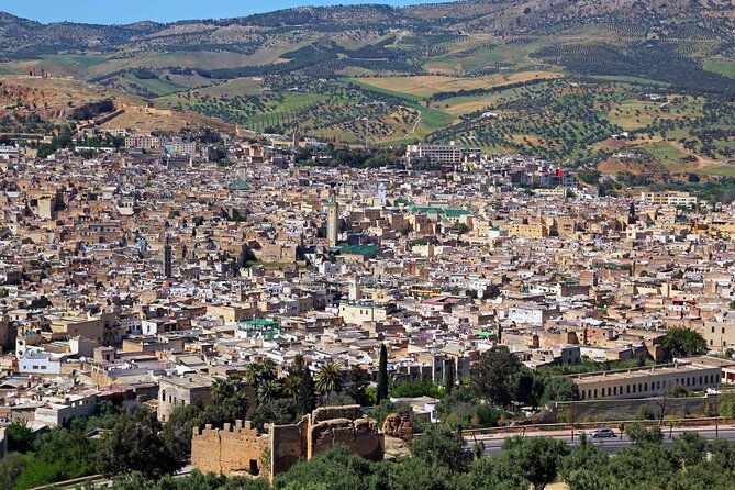 Transfer From Fez Airport to Fes Medina - Benefits of Private Transfer Service