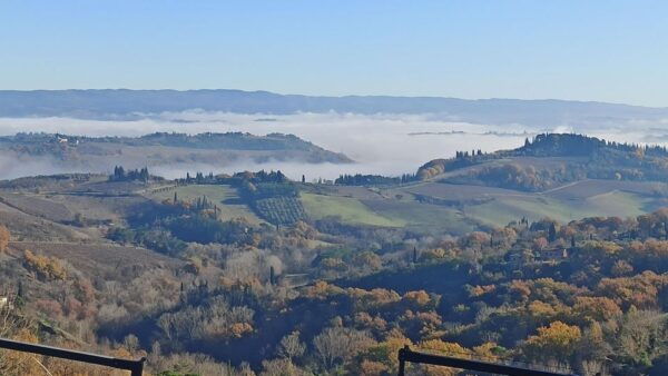 Transfer From Florence to Siena With Stop in San Gimignano - Frequently Asked Questions