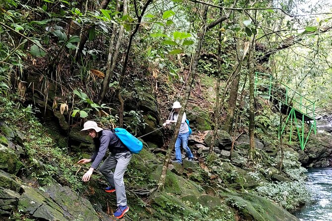 Transfer From Hue to Da Nang or Hoi an via Bach Ma National Park - Bach Ma National Park Overview