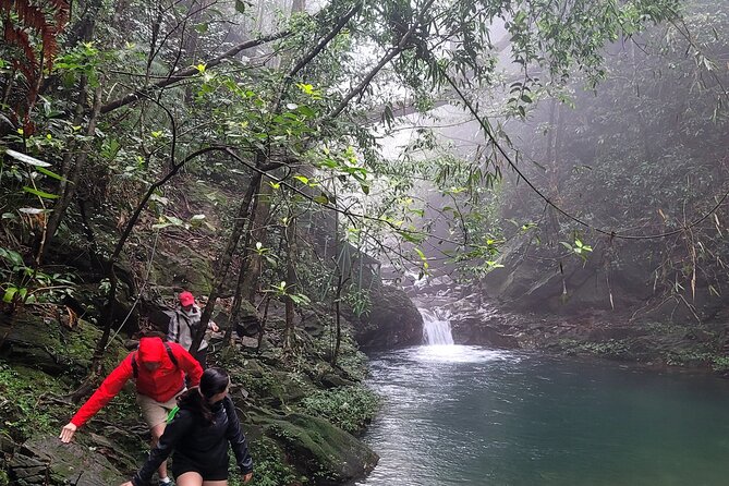 Transfer From Hue to Da Nang or Hoi an via Bach Ma National Park - Wildlife and Nature in Bach Ma National Park