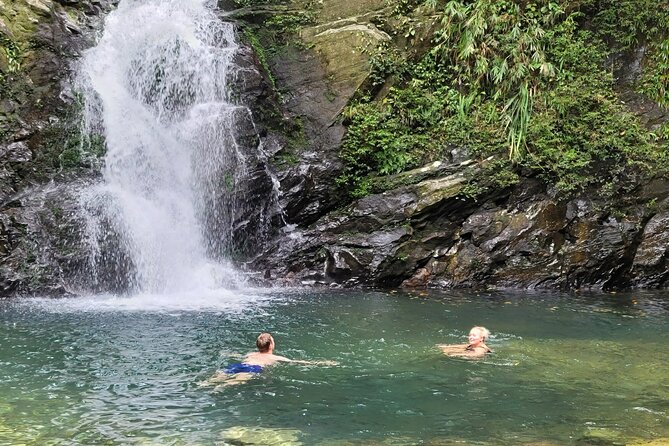 Transfer From Hue to Da Nang or Hoi an via Bach Ma National Park - Transfer to Hoi An via Bach Ma National Park