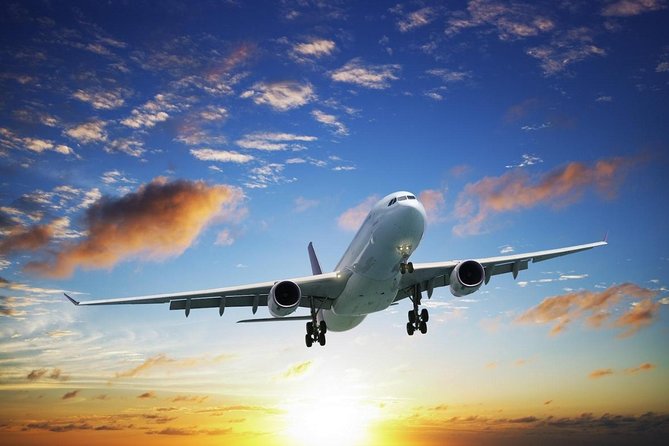 Transfer From Iguazú Airport to Hotels on the Argentine Side - Reviews