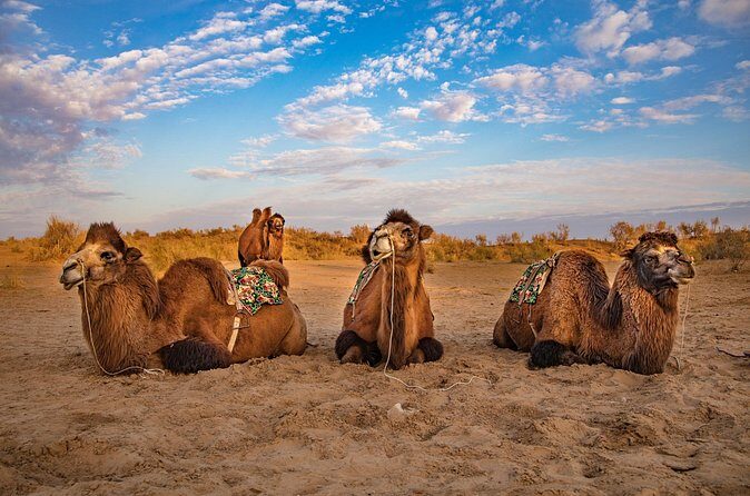 Transfer from Khiva to Bukhara by Fortresses - Final Words  