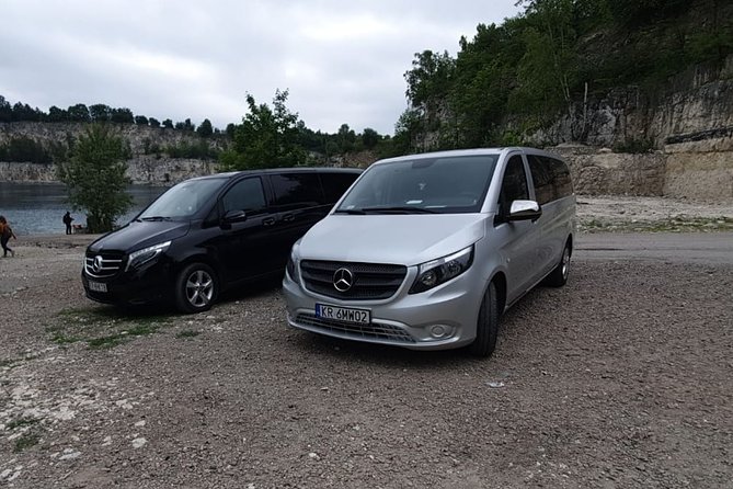 Transfer From Krakow - to the Krakow Balice Airport - Service Details