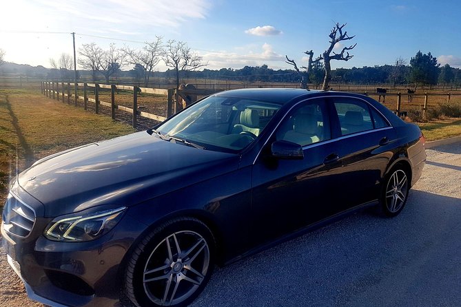 Transfer From Lisbon to Porto - Cancellation Policy