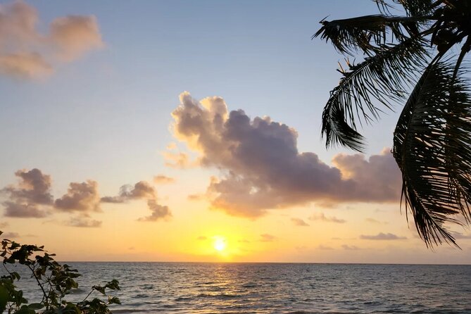 Transfer From Maceió to São Miguel Dos Milagres - Scenic Route Options