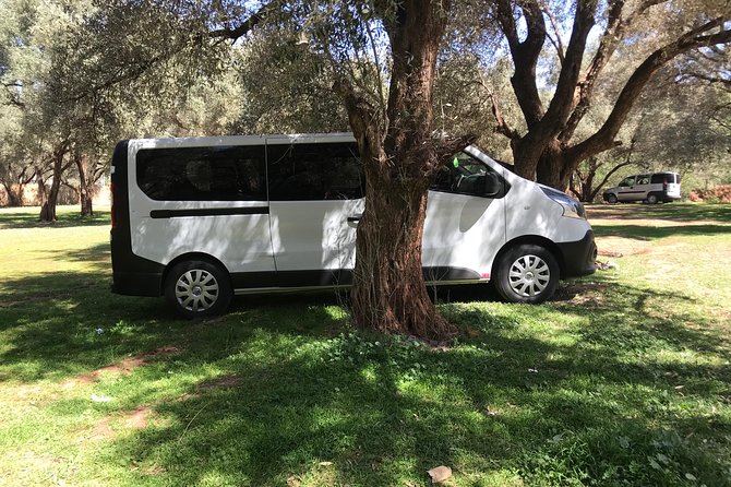 Transfer From Marrakech Airport to the Whole City - Reviews