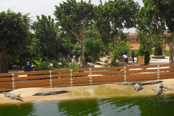 Transfer From Marrakech to Agadir or From Agadir to Marrakech - Customer Experience Insights