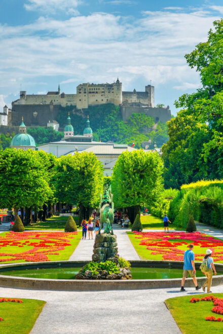 Transfer From Munich to Salzburg With 2 Hours of Sightseeing - Vehicle and Driver Details