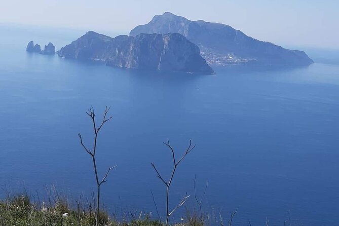 Transfer From Naples Airport or Station to Nerano (Massalubrense) - Transportation Services Available