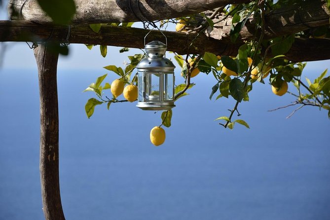 Transfer From Naples to Amalfi or Vice Versa - Transfer Options